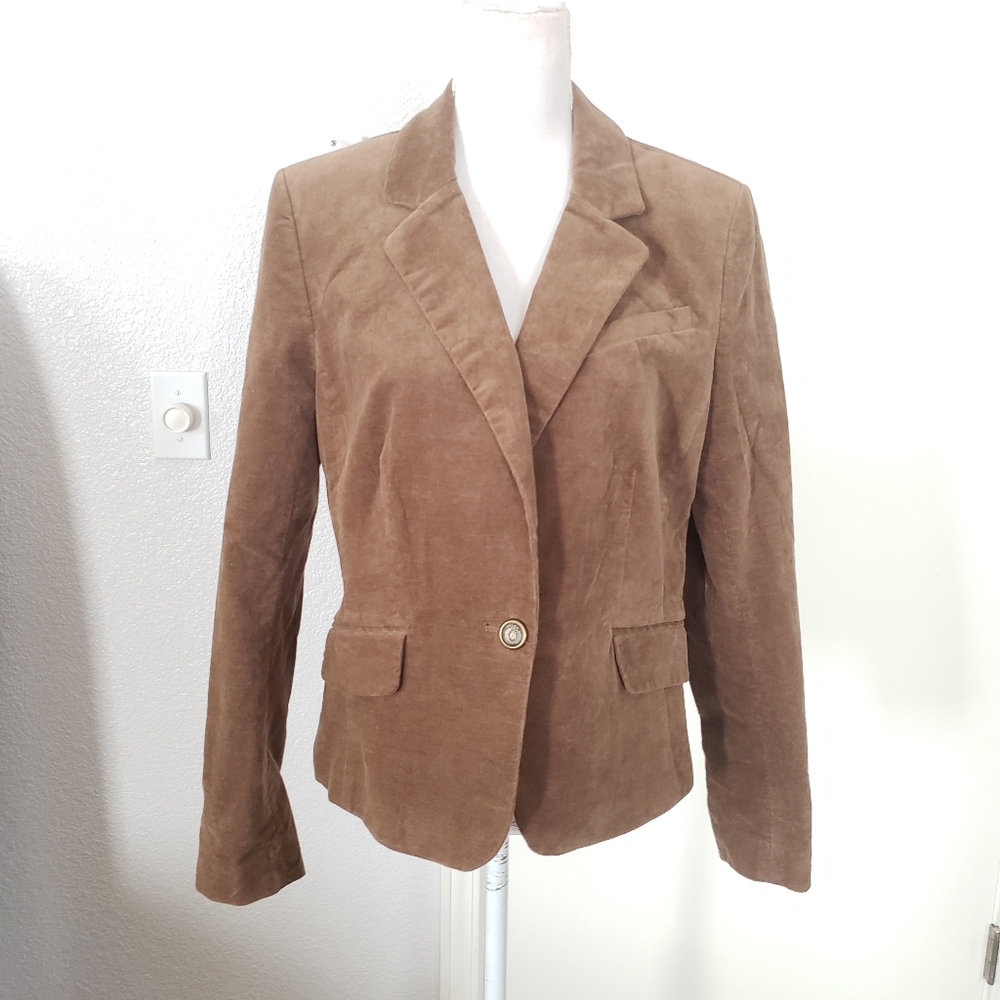 Ann Taylor LOFT Brown Blazer Size 12